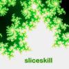 sliceskill