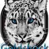 Goldshock